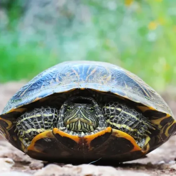 download - 2024-10-15T143535.016