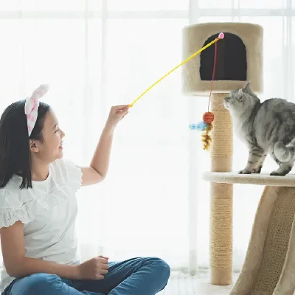 download - 2024-10-15T145448.636