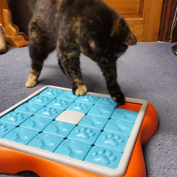 download - 2024-10-15T153351.803